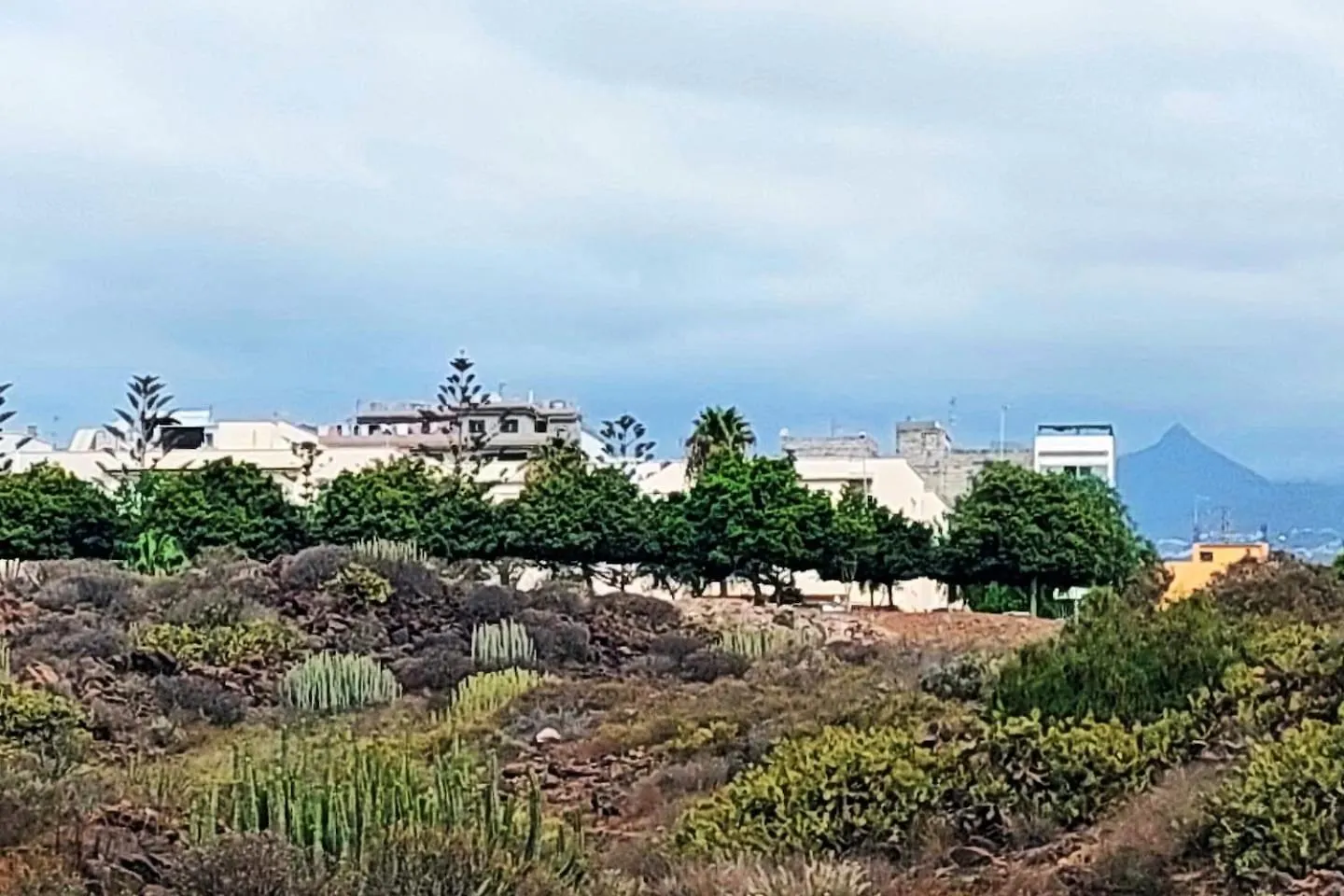 Cozy Apartment In The South Of Tenerife Arona   Arona (Tenerife)